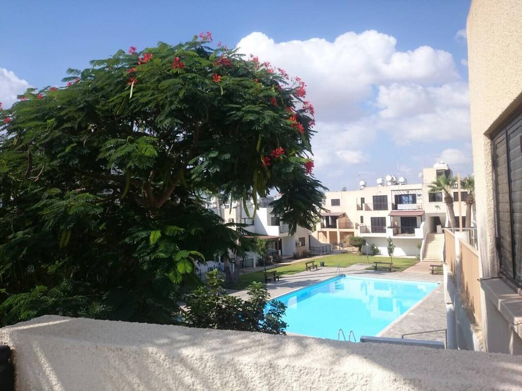 Theodoros Apt. 408 بروتاراس المظهر الخارجي الصورة