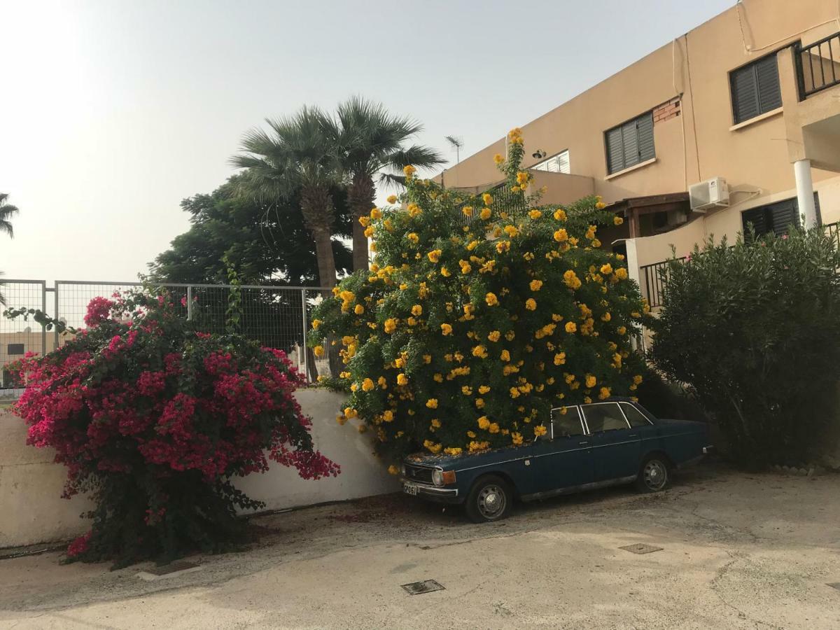 Theodoros Apt. 408 بروتاراس المظهر الخارجي الصورة